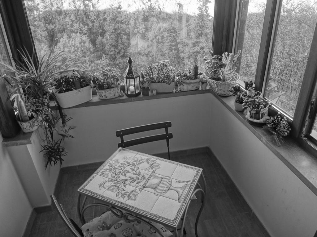 La Casetta Della Nonna Bagnoregio Room photo